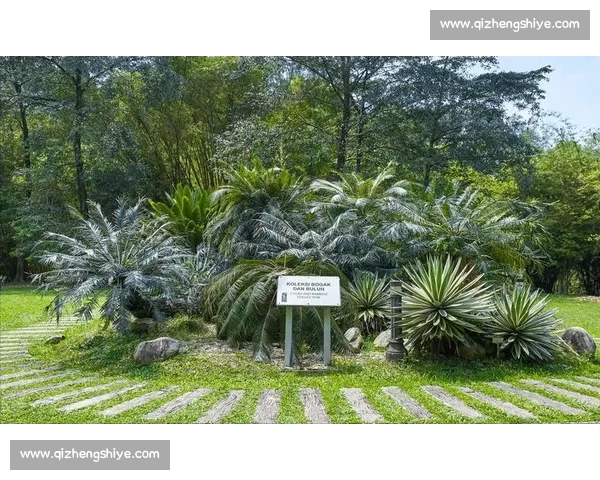 金杯赛非洲独苗：南非 2005 年的跨洋之旅
